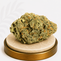 Standard Greenhouse Blackberry Hybrid 17% THC - Four20SA