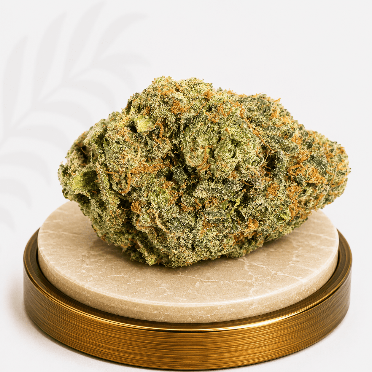 Standard Greenhouse Blackberry Hybrid 17% THC - Four20SA