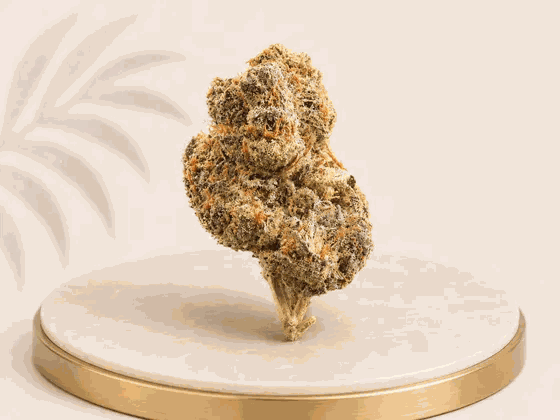 Boutique Indoor Godfather OG  Indica-Dominant 34% THC