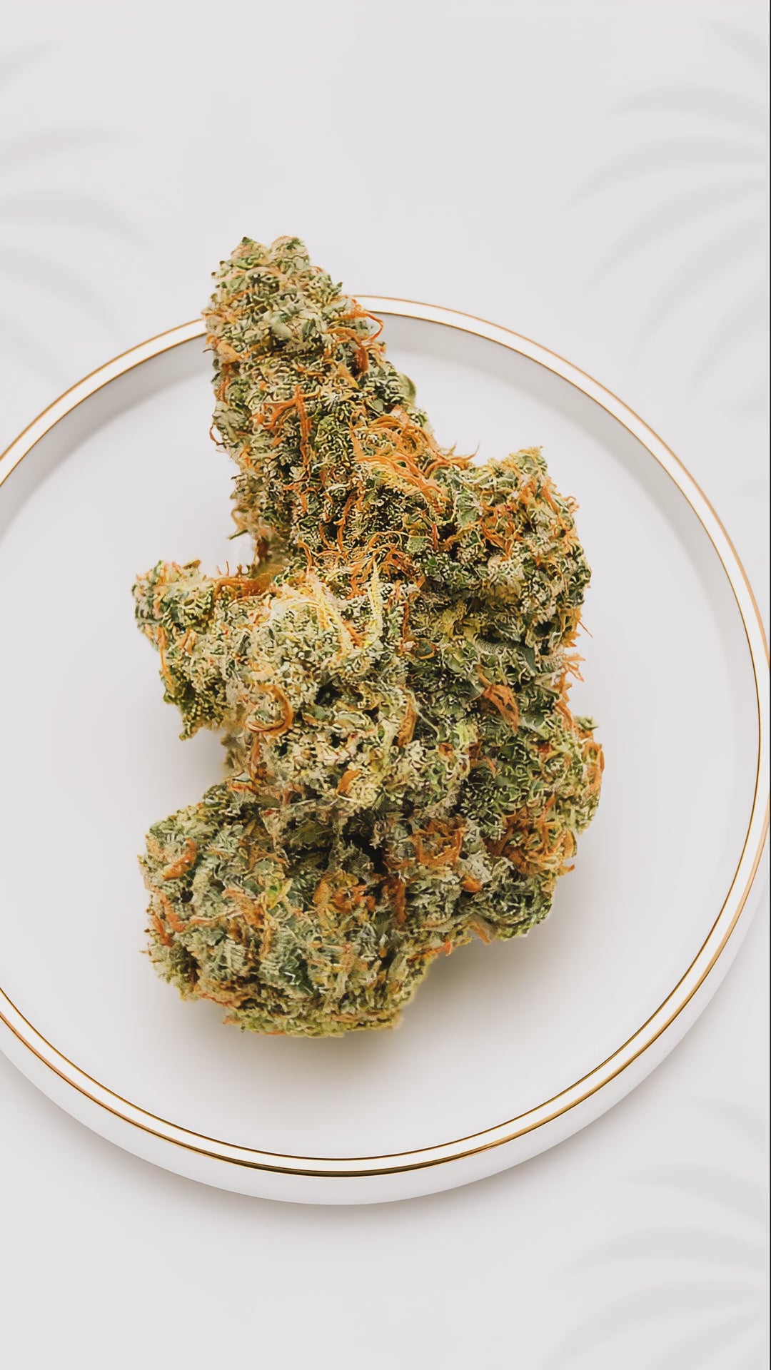 Boutique Indoor Jealousy Hybrid 32% THC