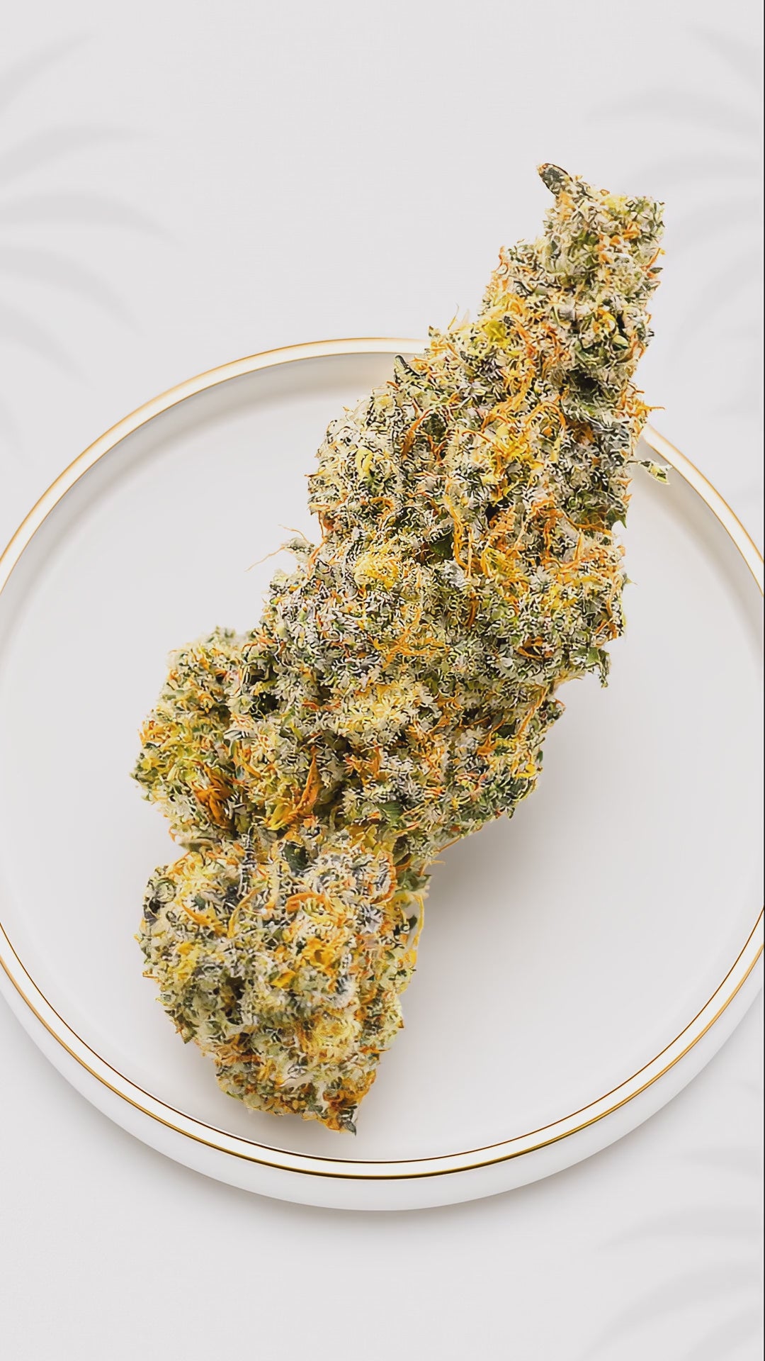 Boutique Indoor Devil Driver Hybrid 32% THC