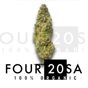 Premium Greenhouse Super Lemon Haze 19% THC Sativa