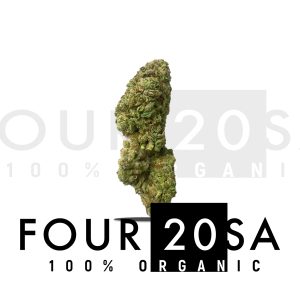 Premium Greenhouse White Widow Hybrid 15% THC