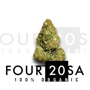 Premium Greenhouse SFV OG 20% THC Hybrid