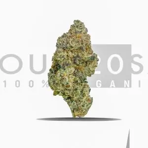 Jungle Fever indica 28% THC South Africa Boutique Indoor Jungle Fever bud Premium indica cannabis SA Jungle Fever