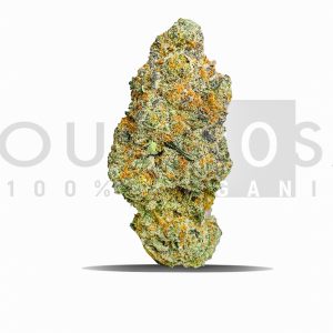 Premium Indoor Rocket X Sativa 26% THC