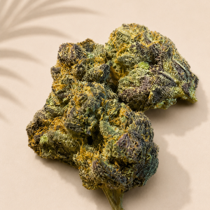 Boutique Indoor XJ-13 Sativa-Dominant Hybrid 30% THC