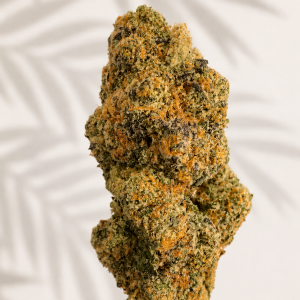Premium Indoor Lilac Diesel – Hybrid 24% THC