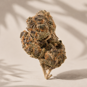 Boutique Indoor Blockberry Hybrid 30% THC
