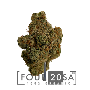 Boutique Indoor Blockberry Hybrid 30% THC