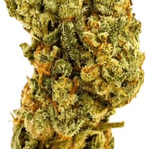 Premium Greenhouse White Widow Hybrid 15% THC