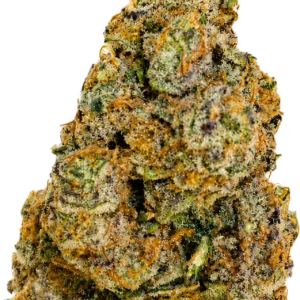 Premium Indoor Cookies & Cream Hybrid 25% THC