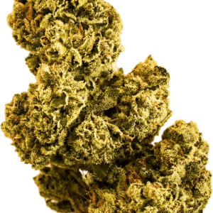 Premium Greenhouse Maui Wowie Sativa 20% THC