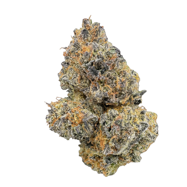 Exotic Boutique Indoor Apollo Landing – Indica-Dominant Hybrid | 20% THC flower