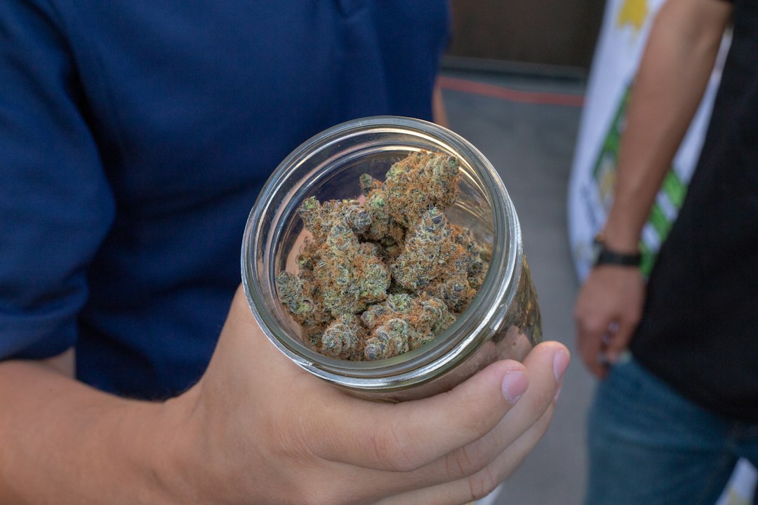 Cannabis flower stored in a clear glass jar