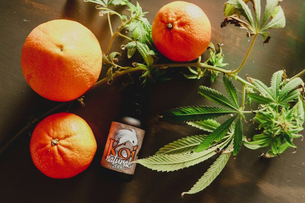 Citrus fruit and green leaves illustrating aromatic notes